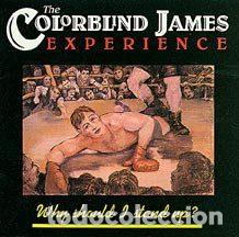 Vinyl-Schallplatten: The Colorblind James Experience &ndash; Why Should I Stand Up? (Vinyl, DRO 4D-0705)