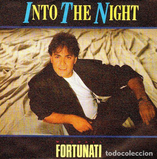 Vinyl records: Michael Fortunati &ndash; Into The Night (Vinyl, Max Music S-242)