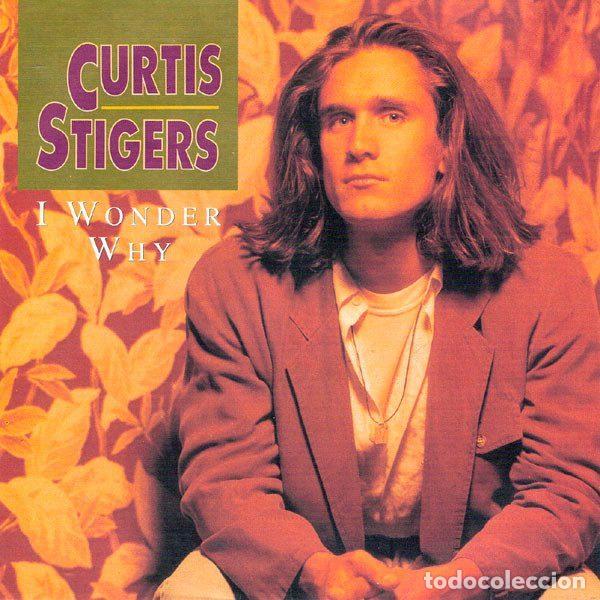 Vinyl-Schallplatten: Curtis Stigers &ndash; I Wonder Why (Vinyl, Arista 114 716)