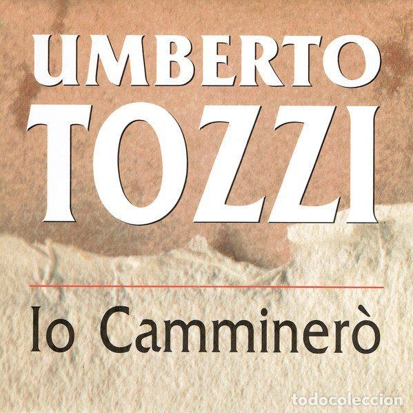 Dischi in vinile: Umberto Tozzi &ndash; Io Camminer&ograve; (Vinyl, WEA 1438)