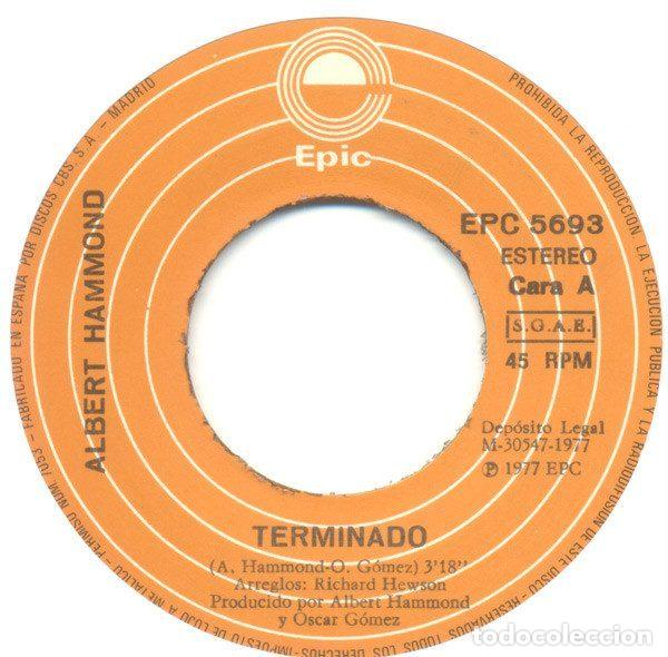 Discos de vinilo: Albert Hammond &ndash; Terminado (Vinyl, Epic EPC 5693) - Foto 3