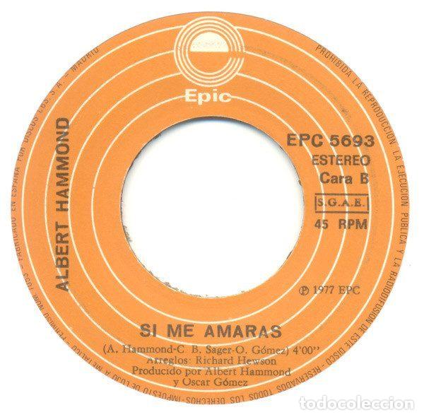 Discos de vinilo: Albert Hammond &ndash; Terminado (Vinyl, Epic EPC 5693) - Foto 4