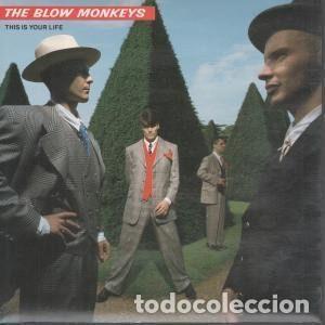 Vinyl records: The Blow Monkeys &ndash; This Is Your Life (Vinyl, RCA PB 42149)