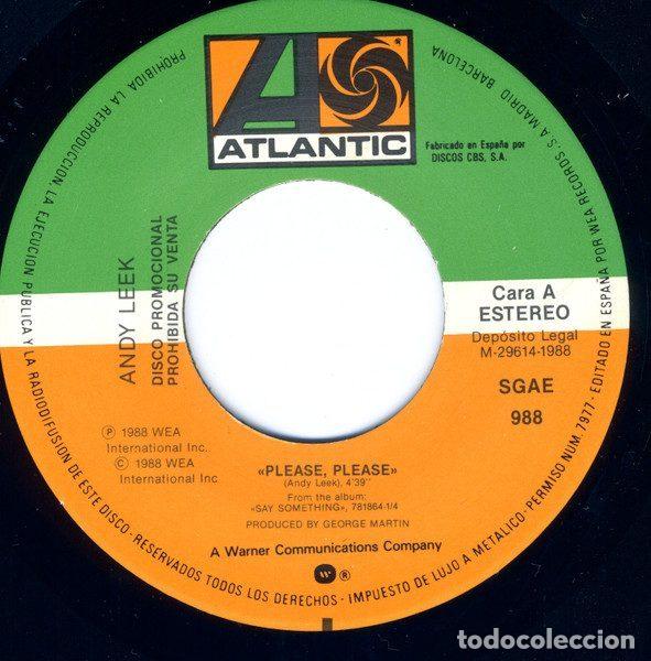 Discos de vinilo: Andy Leek &ndash; Please Please (Vinyl, Atlantic 988) - Foto 3