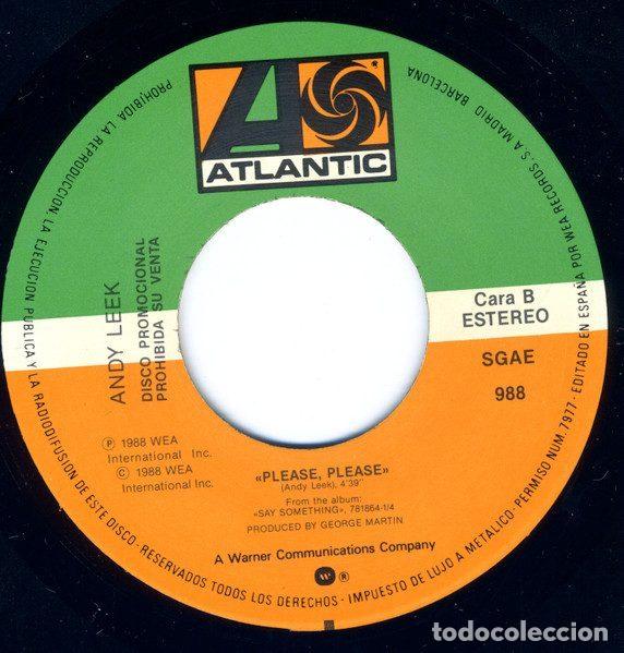 Discos de vinilo: Andy Leek &ndash; Please Please (Vinyl, Atlantic 988) - Foto 4