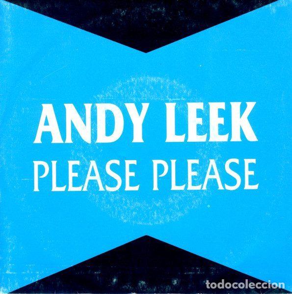 Vinyl-Schallplatten: Andy Leek &ndash; Please Please (Vinyl, Atlantic 988)