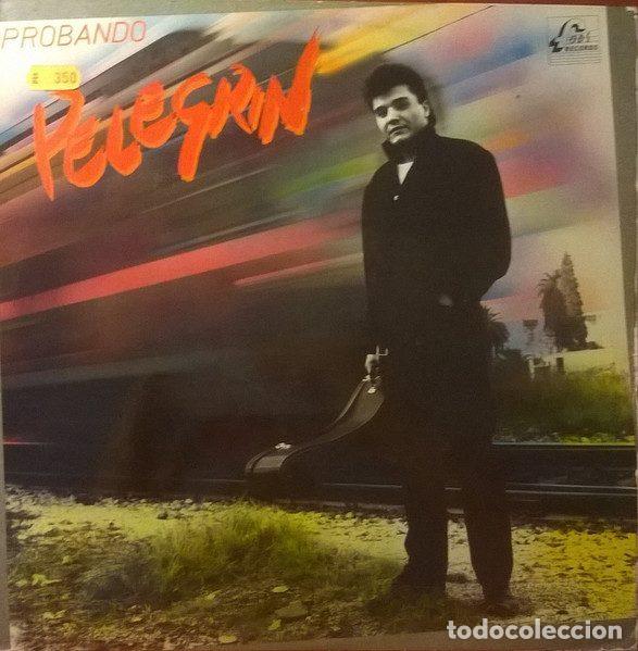 Vinyl records: Pelegrin &ndash; Probando (Vinyl, Fods Records SE-60-P.L. 6001 )