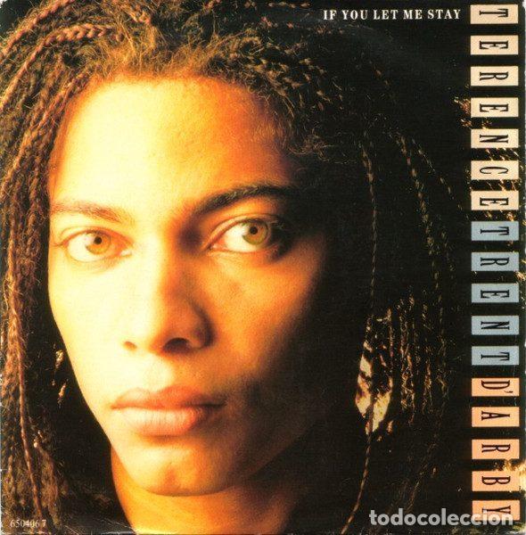 Disques de vinyle: Terence Trent D'Arby &ndash; If You Let Me Stay (Vinyl, CBS CBS 650406 7)