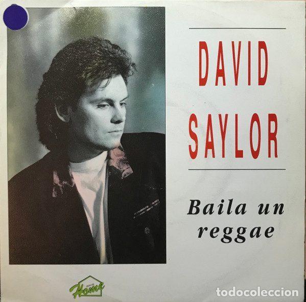 Vinyl-Schallplatten: David Saylor &ndash; Baila Un Reggae (Vinyl, Discos Home 0061224467)
