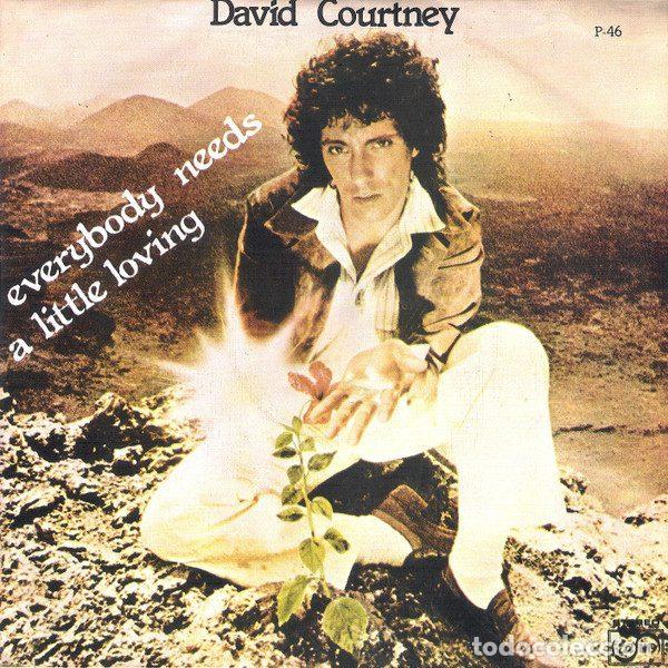 Dischi in vinile: David Courtney &ndash; Everybody Needs A Little Loving (Vinyl, Zafiro P-46)