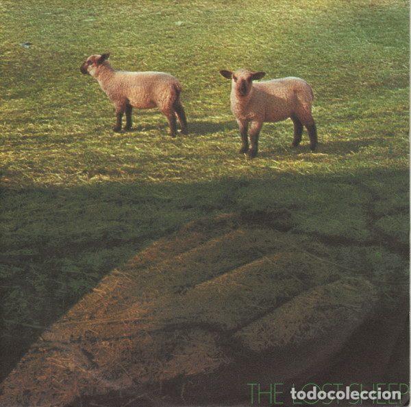 Vinyl records: Adrian Munsey &ndash; The Lost Sheep (Vinyl, Virgin VS 254)