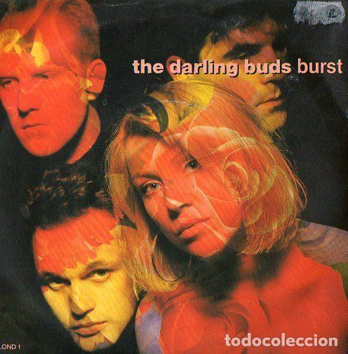Disques de vinyle: The Darling Buds &ndash; Burst (Vinyl, Epic BLOND 1)