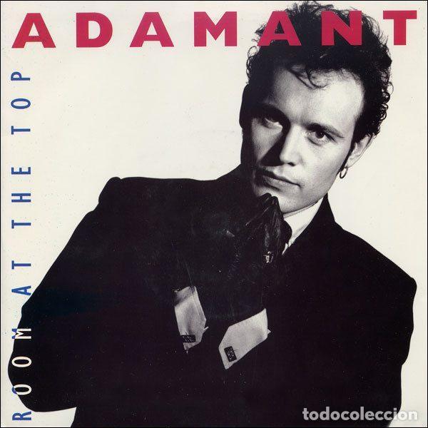 Vinyl records: Adam Ant &ndash; Room At The Top (Vinyl, MCA Records MCA 1387)
