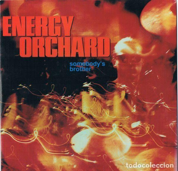 Vinyl records: Energy Orchard &ndash; Somebody's Brother (Vinyl, MCA Records MCA 1445)