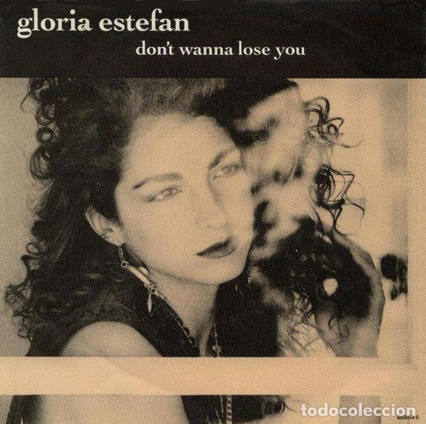 Disques de vinyle: Gloria Estefan &ndash; Don't Wanna Lose You (Vinyl, Epic 655054 0)