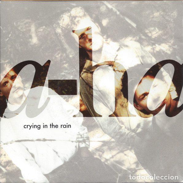 Discos de vinil: a-ha &ndash; Crying In The Rain (Vinyl, Warner Bros. Records W 9547)