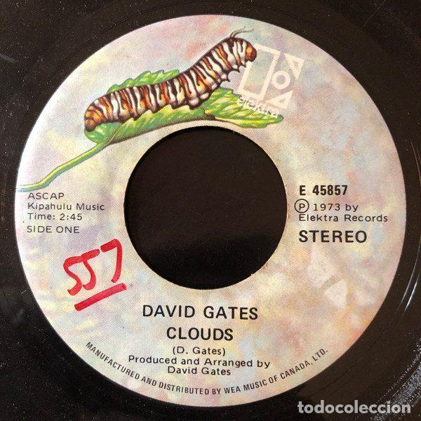 Discos de vinilo: David Gates &ndash; Clouds / I Use The Soap (Vinyl, Elektra E-45857) - Foto 1