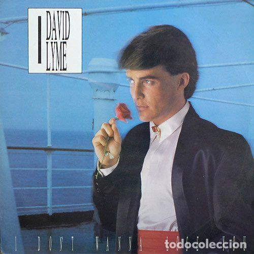 Dischi in vinile: David Lyme &ndash; I Don't Wanna Lose You (Vinyl, Max Music S-212)