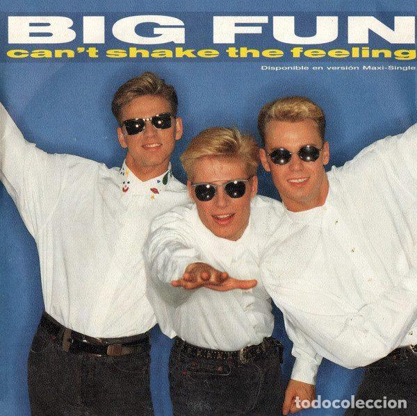 Vinyl records: Big Fun &ndash; Can't Shake The Feeling (Vinyl, Jive 1A ZB-43327)
