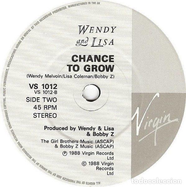 Discos de vinilo: Wendy And Lisa &ndash; Sideshow (Vinyl, Virgin VS 1012) - Foto 4