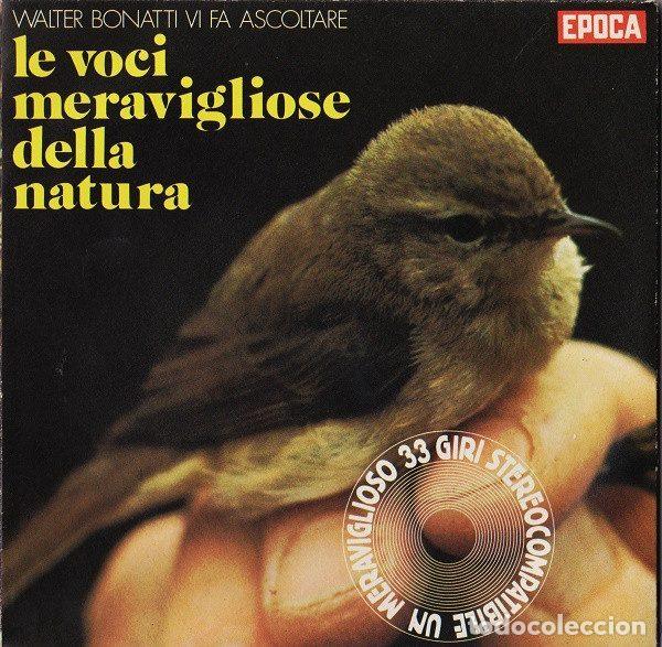 Vinyl records: No Artist &ndash; Le Voci Meravigliose Della Natura (Vinyl, Epoca none)
