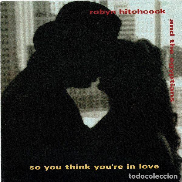 Discos de vinil: Robyn Hitchcock & The Egyptians &ndash; So You Think You're In Love (Vinyl, A&M Records 390 669-7)