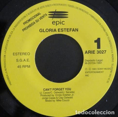Vinyl records: Gloria Estefan &ndash; Can't Forget You (Vinyl, Epic ARIE 3027)