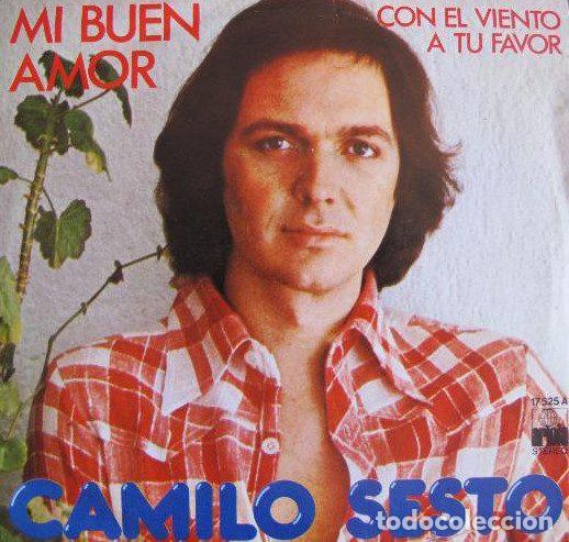 Dischi in vinile: Camilo Sesto &ndash; Mi Buen Amor / Con El Viento A Tu Favor (Vinyl, Ariola 17.525-A)