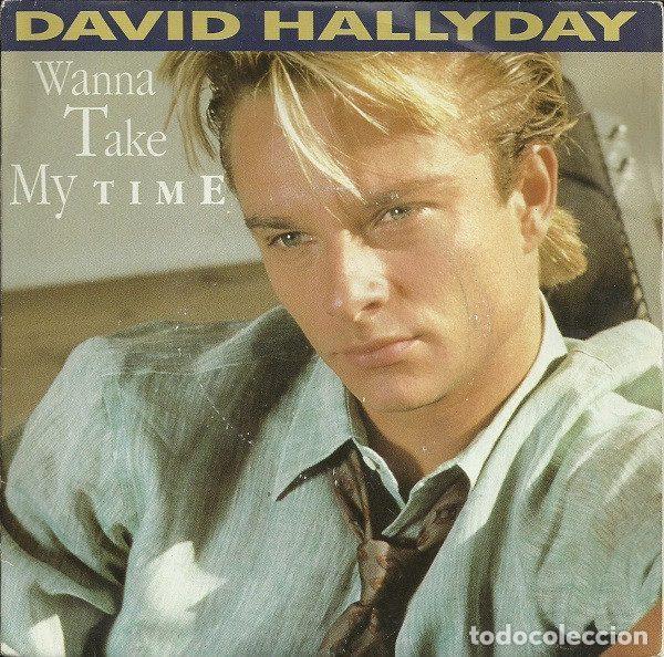 Disques de vinyle: David Hallyday &ndash; Wanna Take My Time (Vinyl, Scotti Bros. Records 874 084-7)
