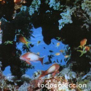 Disques de vinyle: Ciudad Jardin &ndash; Miren A Mi Mulo (Vinyl, Fonomusic 03.4125)