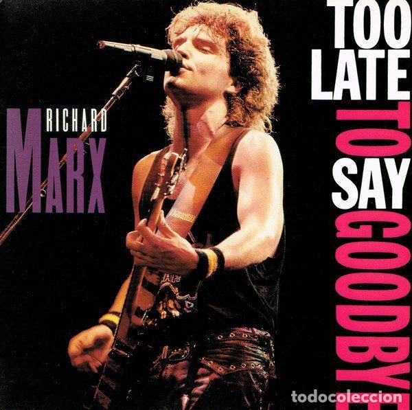 Vinyl records: Richard Marx &ndash; Too Late To Say Goodbye (Vinyl, EMI USA MT 80)