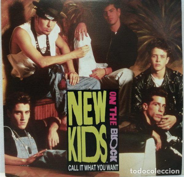 Vinyl-Schallplatten: New Kids On The Block &ndash; Call It What You Want (Vinyl, CBS/Sony ARIC-0006)