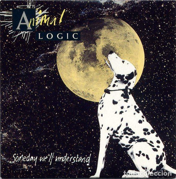 Vinyl records: Animal Logic &ndash; Someday We'll Understand (Vinyl, Virgin AL 11)
