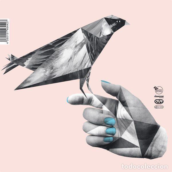 Vinyl records: Electric Blanket &ndash; I Never Ate That Bird (Vinyl, Bussi Records BUSSI7001)