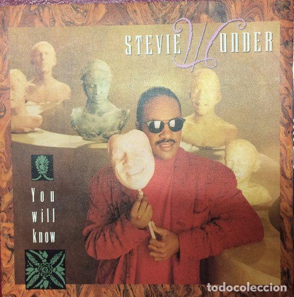 Discos de vinil: Stevie Wonder &ndash; You Will Know (Vinyl, Motown ZB 41723)