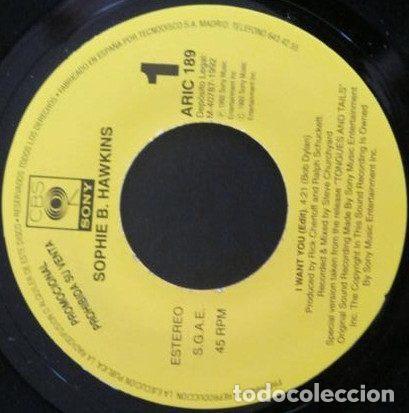 Disques de vinyle: Sophie B. Hawkins &ndash; I Want You (Vinyl, CBS/Sony ARIC 189)