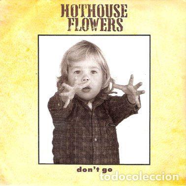 Vinyl records: Hothouse Flowers &ndash; Don't Go (Vinyl, PolyGram Ib&eacute;rica, S.A. 886 279-7)