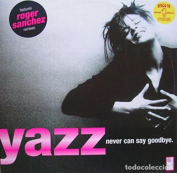 Disques de vinyle: Yazz &ndash; Never Can Say Goodbye (Vinyl, EastWest EW081T)