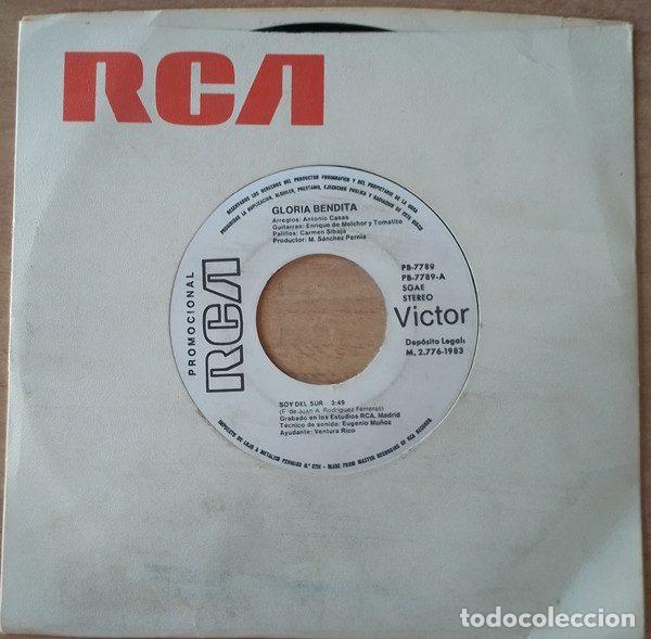 Dischi in vinile: Gloria Bendita &ndash; Soy Del Sur (Vinyl, RCA Victor PB-7789 )