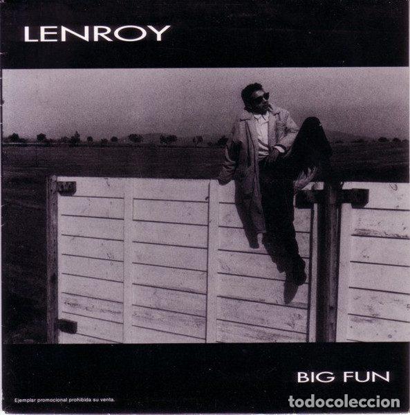Vinyl records: Lenroy &ndash; Big Fun (Vinyl, Don Disco DDP-062-PROM)