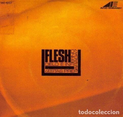 Vinyl records: Flesh &ndash; Heaven And Hell (Vinyl, AVCO Embassy MO 1057)