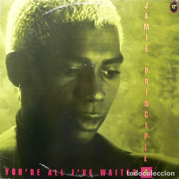 Disques de vinyle: Jamie Principle &ndash; You're All I've Waited 4 (Vinyl, Smash Records 865 009-1)