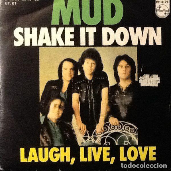 Discos de vinilo: Mud &ndash; Shake It Down (Vinyl, Philips 60 78 455) - Foto 1