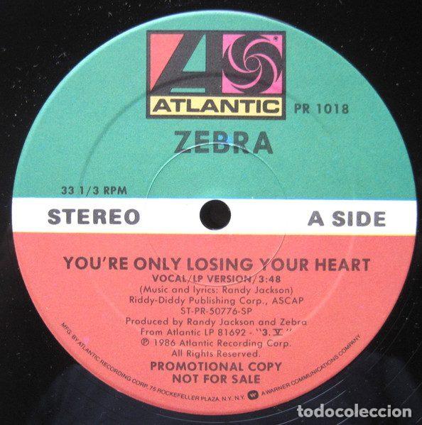 Discos de vinilo: Zebra &ndash; You're Only Losing Your Heart (Vinyl, Atlantic PR 1018)