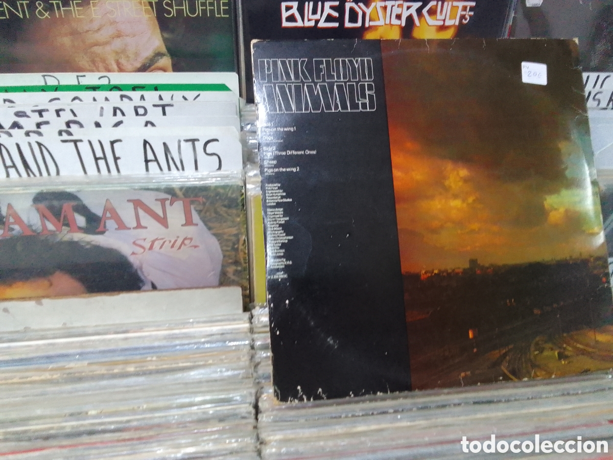 Discos de vinilo: Lp plnk Floyd,animals - Foto 2