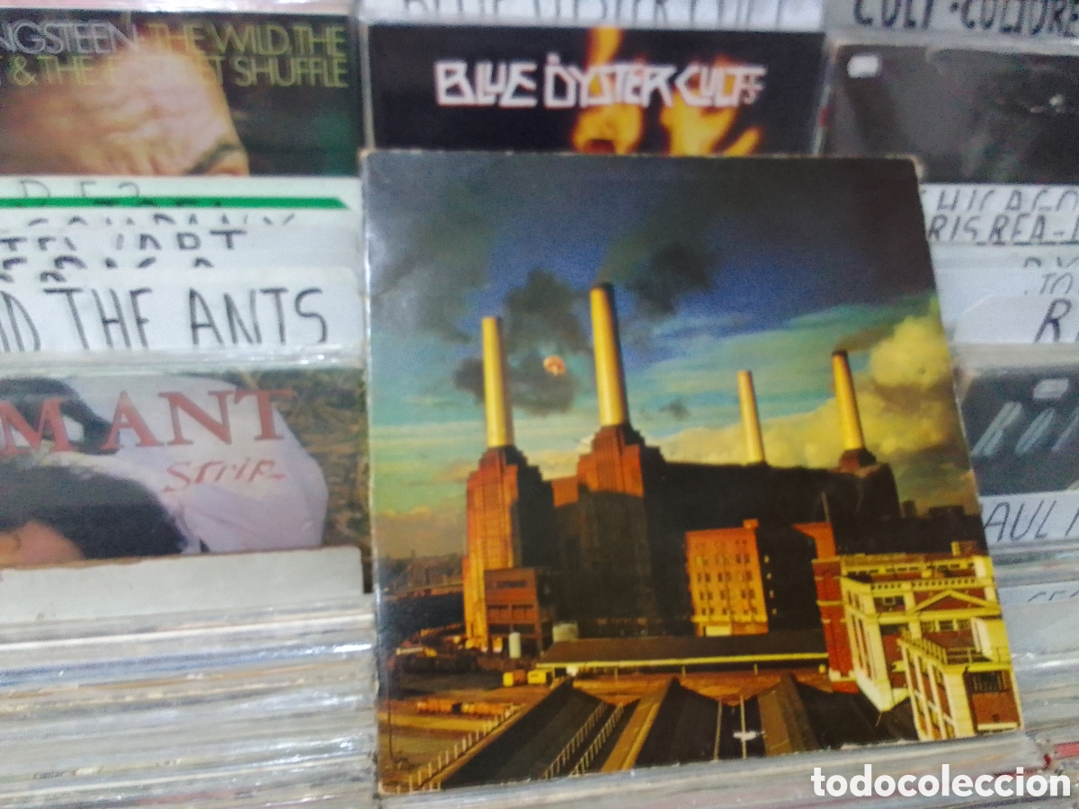 Discos de vinilo: Lp plnk Floyd,animals - Foto 1