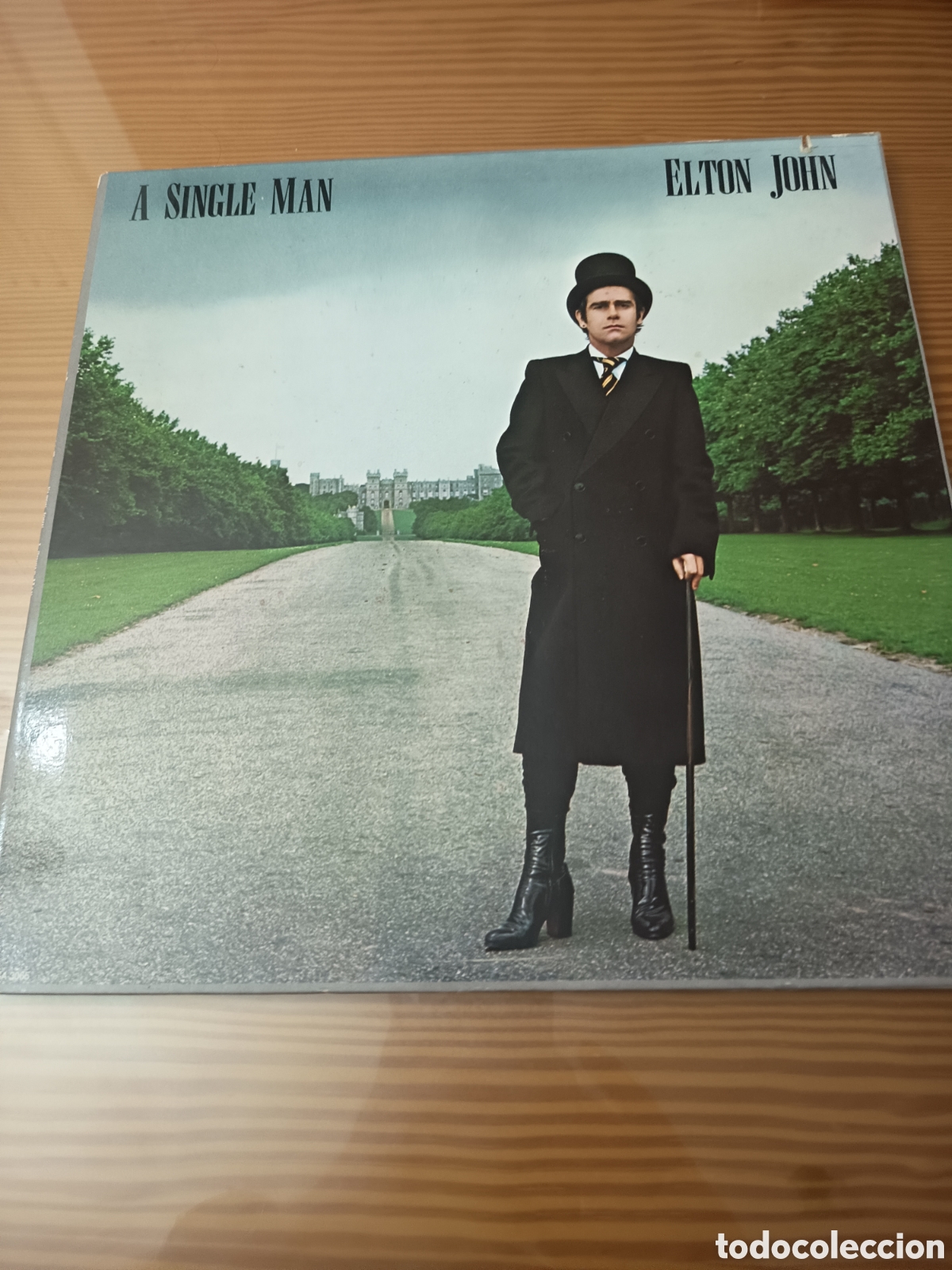 Disco de Vinilo LP - Elton John &lrm;(A Single Man)