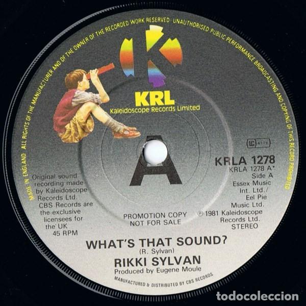 Discos de vinilo: Rikki Sylvan &ndash; Whats That Sound? - Foto 2