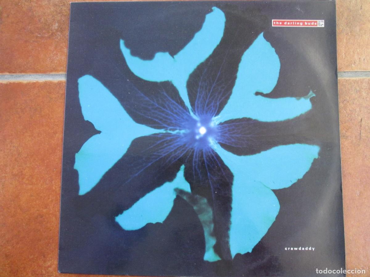 Discos de vinilo: THE DARLING BUDS - Crawdaddy. LP, ed espa&ntilde;ola 12&rdquo; 1990. Insert. Impecable (NM)