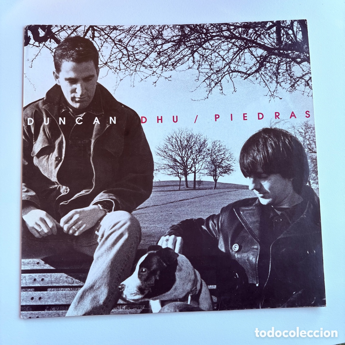 Discos de vinilo: Lo duncan dhu piedras edicion de 1994